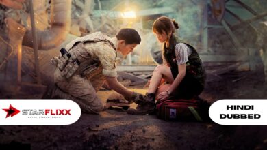 Descendants of the Sun Hindi Dubbed